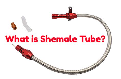 a shemale tube